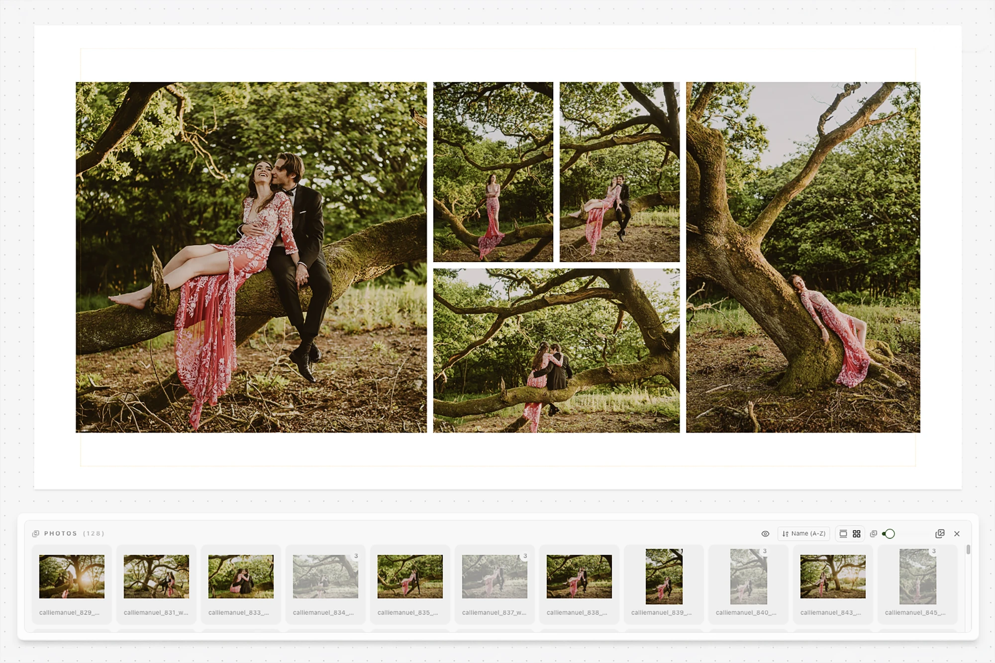 Spreadu online album designer for wedding photographers
